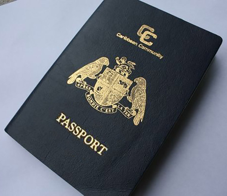 advent-global-passport-homepage